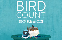 Take part in this year's Aussie Backyard Bird Count