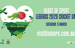 Legends of the Game 20 20 cricket picnic day